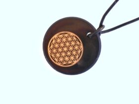 Schungit Anhänger (Motiv: Yin Yang)