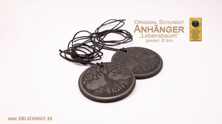 Feng Shui :: Anhänger Scheibe 29x3mm Schungit Poliert Blume Des Lebens