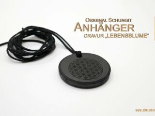 Anhänger mit Lebensblume aus Schungit