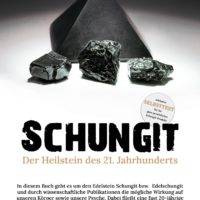 Schungit Buch