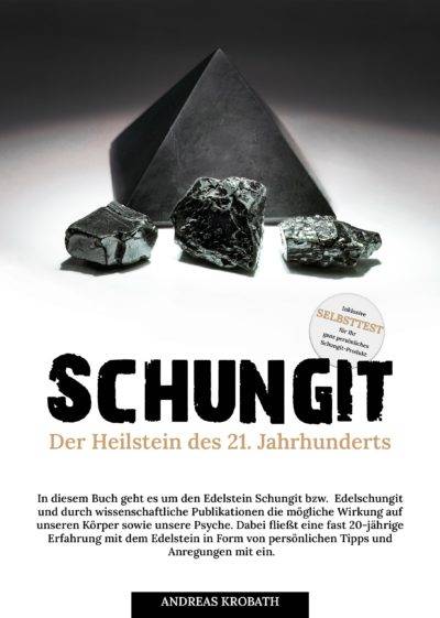 schungit buch