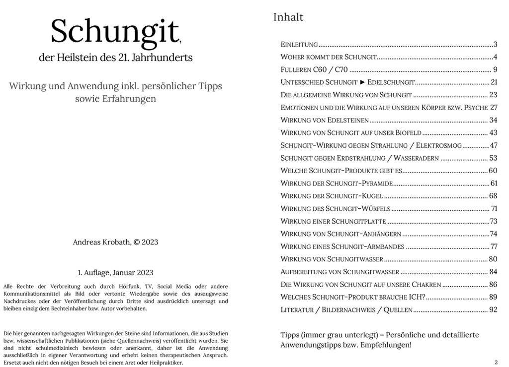buch schungit inhalt