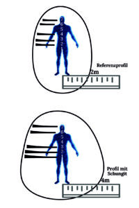 Schungit und Aura bzw. Biofeld