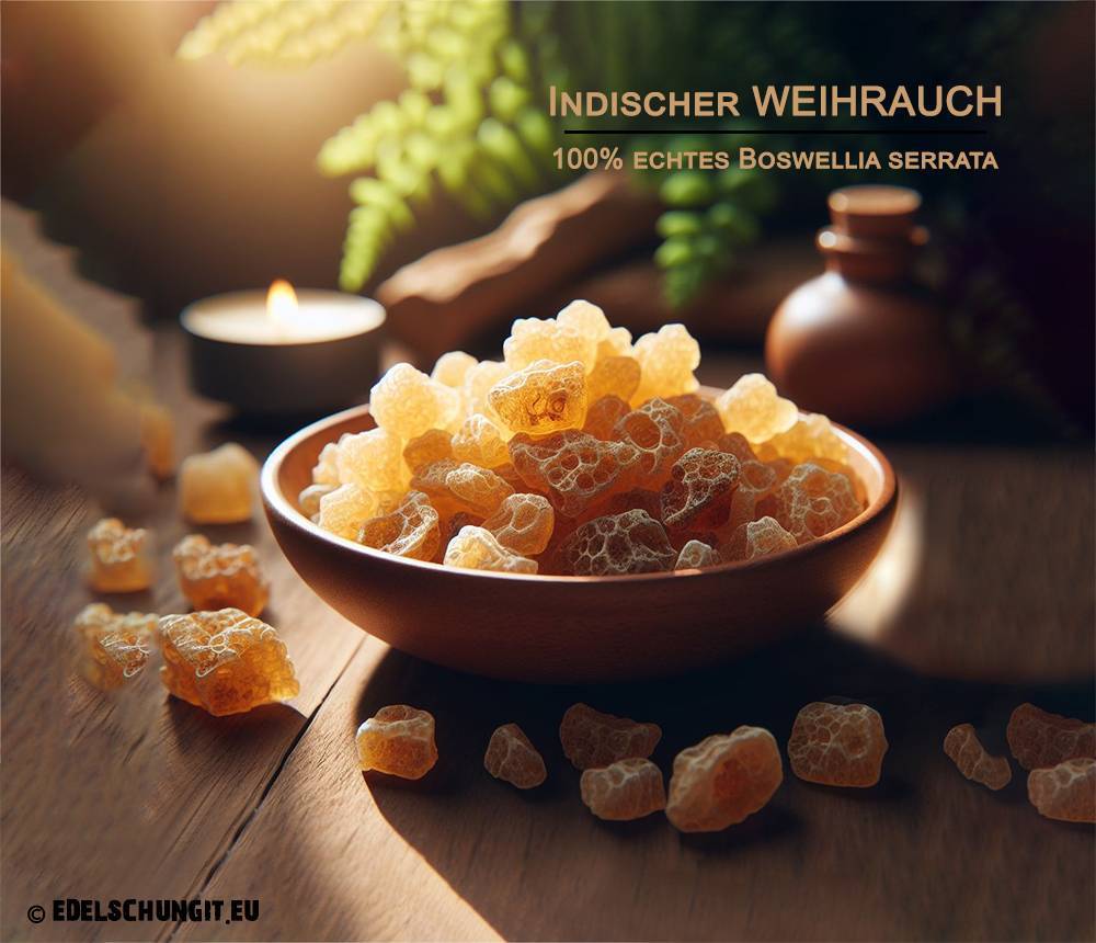 indischer weihrauch - Boswellia serrata