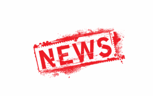 Neues über den Schungit Stein