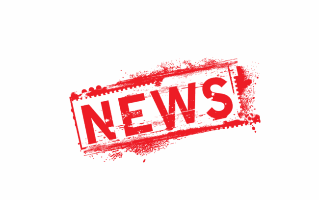 Neues über den Schungit Stein