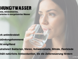 Schungit Wasser