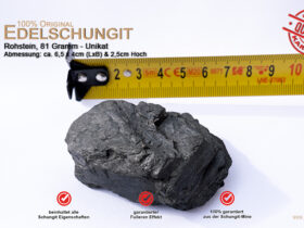 edelschungit rohsteine 81gramm unikat