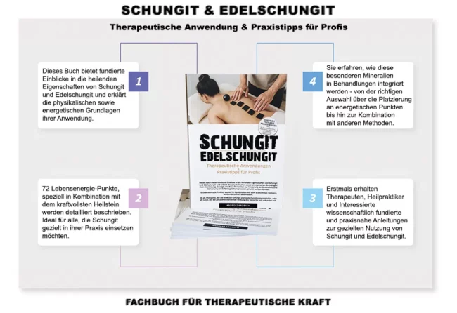 Infografik Buch schungit edelschungit 2025