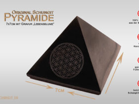 Schungit Pyramide 7cm - Lebensblume graviert