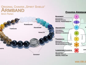 chakra armband - schungit armband 6mm