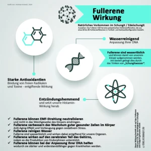 schungit fullerene wirkung - infografik