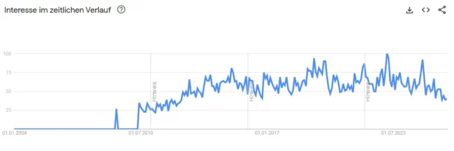 shungit trend google suche