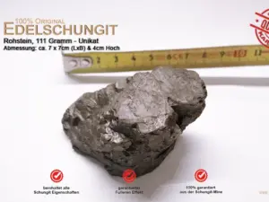 111g edelschungit rohstein unikat 2026